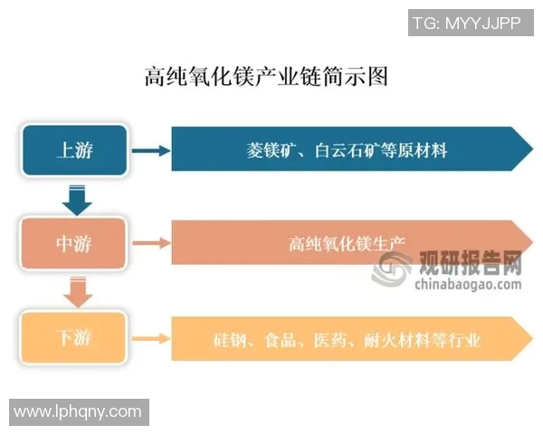 深度分析LNG产业链运营策略与市场趋势解读